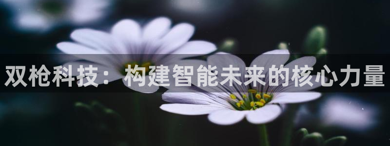 双枪科技：构建智能未来的核心力量