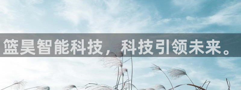 篮昊智能科技，科技引领未来。