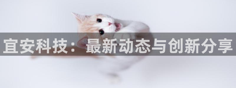 宜安科技：最新动态与创新分享