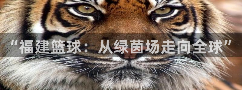 “福建篮球：从绿茵场走向全球”